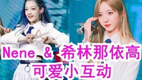 唯一的幸存者
