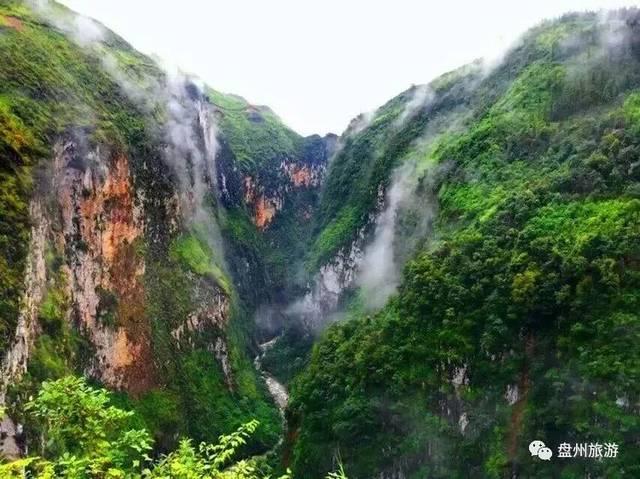 南瓜视频会员游戏画面